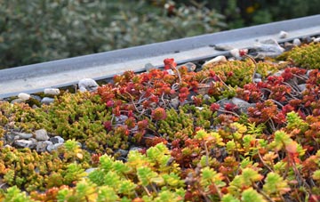 the cost of Thorpe Tilney green roof installation