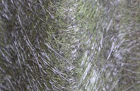 Thorpe Tilney fibreglass roof work